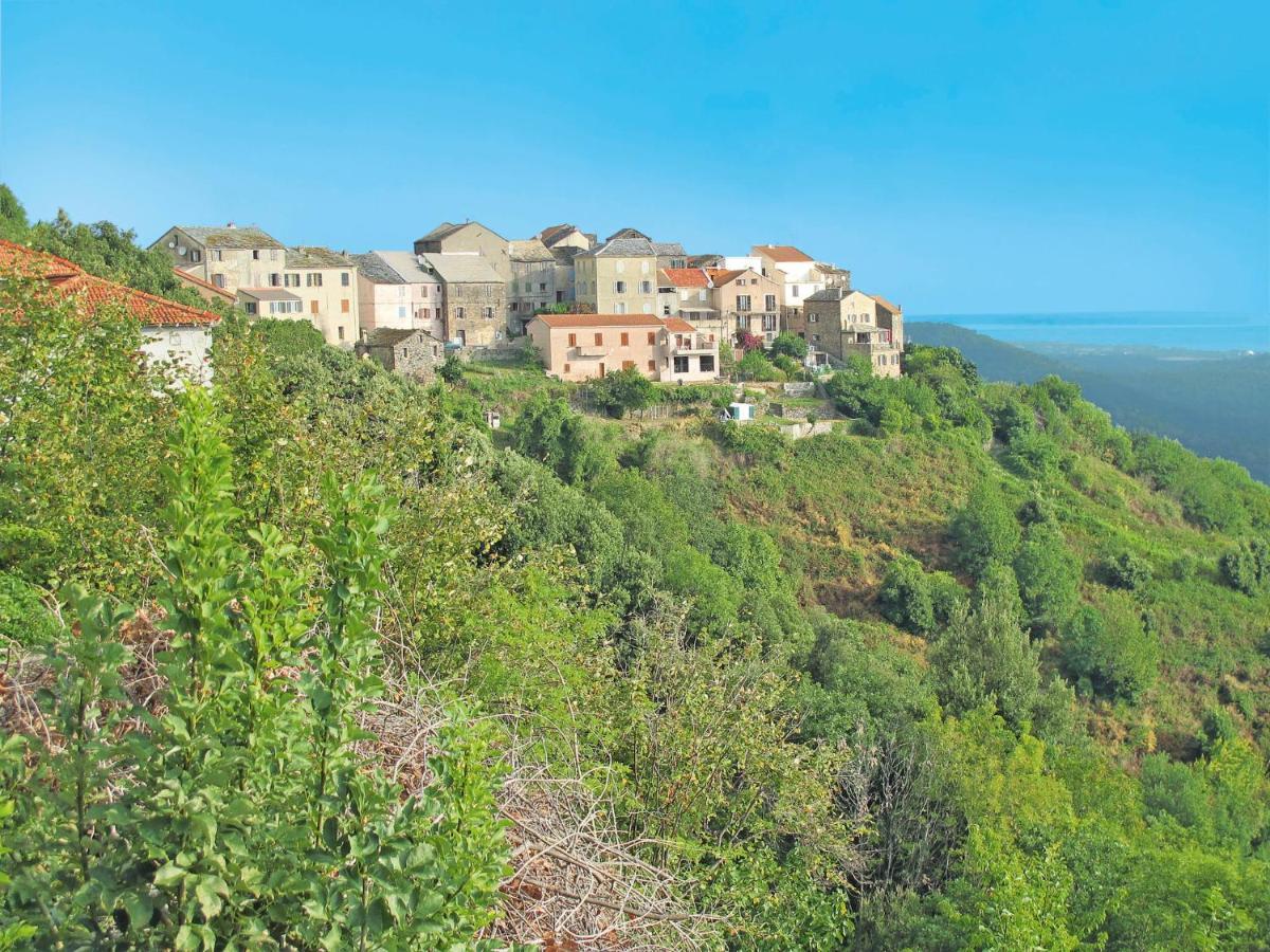 Holiday Home Maison Josee By Interhome Cervione Bagian luar foto