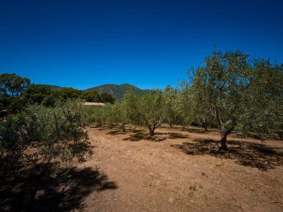Holiday Home Maison Josee By Interhome Cervione Bagian luar foto